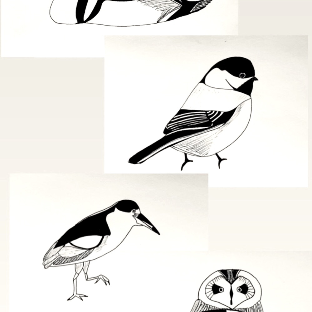 Hand-drawn Montessori wall art high contrast black & white baby prints